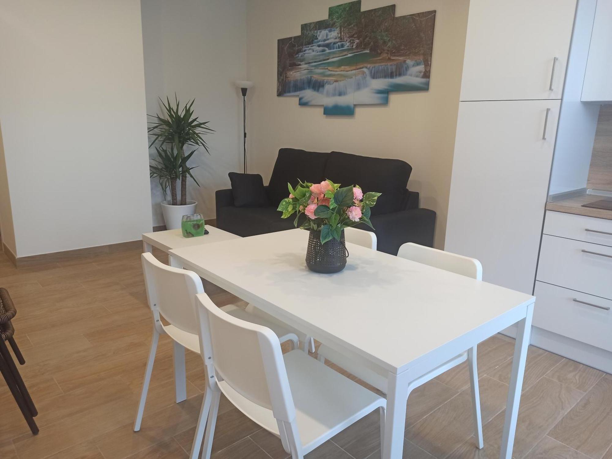 Apartamentos Silgar Plaza サンシェンショ エクステリア 写真