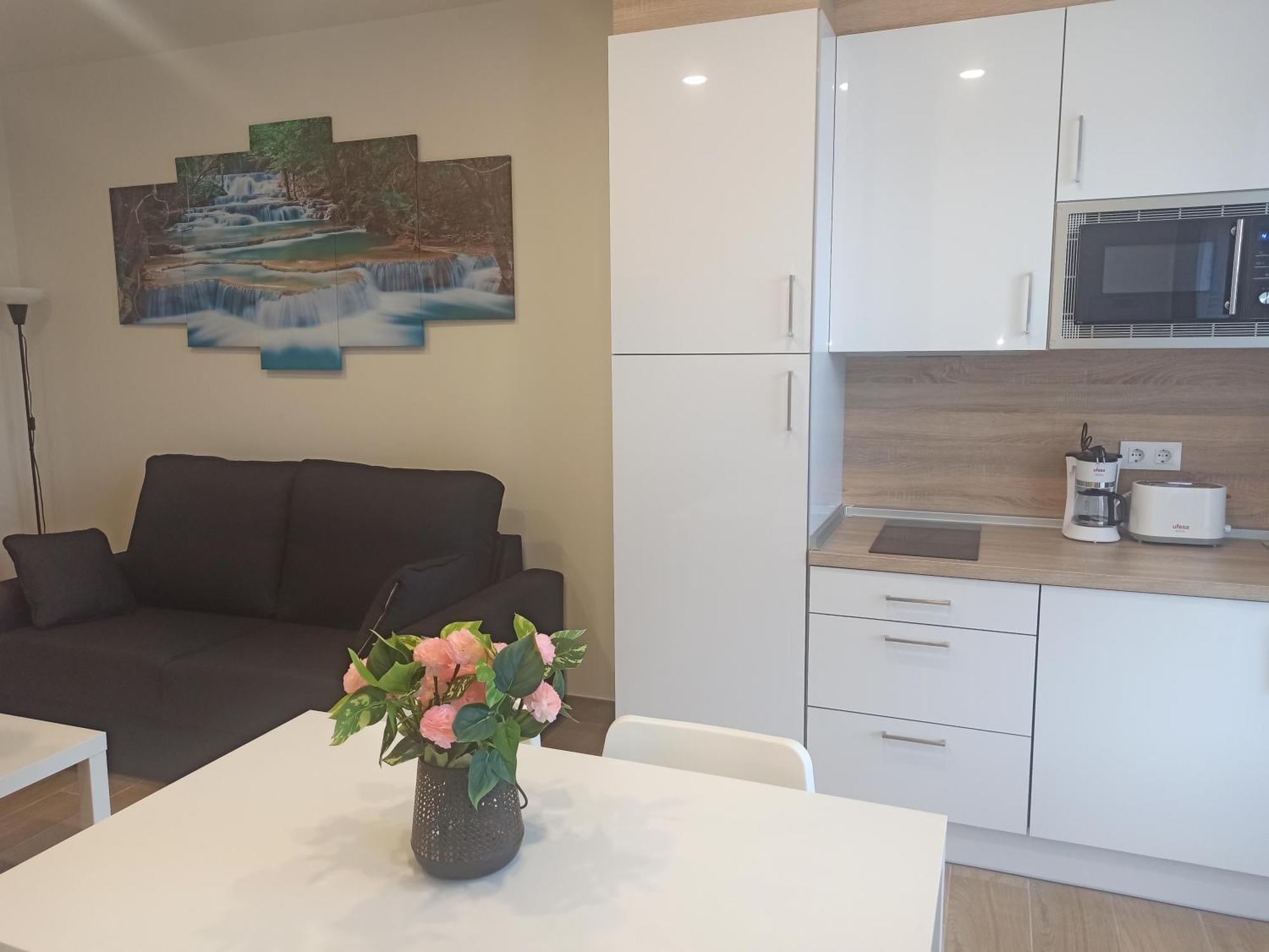 Apartamentos Silgar Plaza サンシェンショ エクステリア 写真